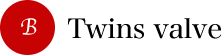 02:ツインズバルブ