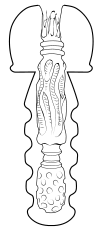 内部構造