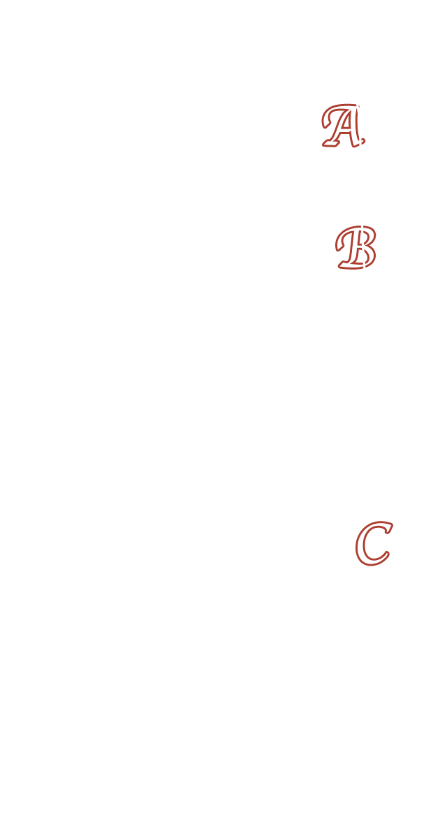 internal structure side
